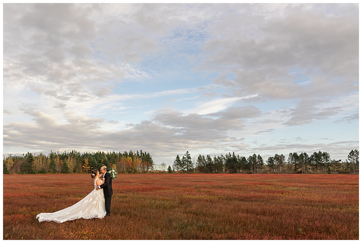 PEI bride and groom in blueberry field in October