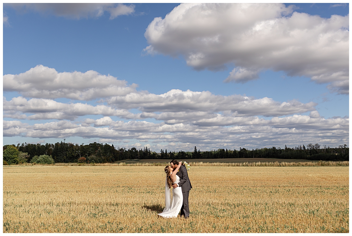 bride and groom kissing in wheat field on PEI
